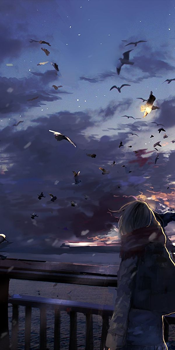 Phone wallpaper: Anime, Sunset, Sky, Bird, Cloud, Original free download