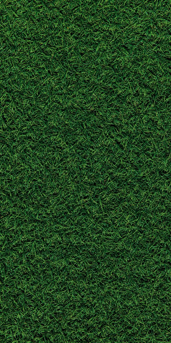 Vibrant Green Grass Field Mobile Wallpaper