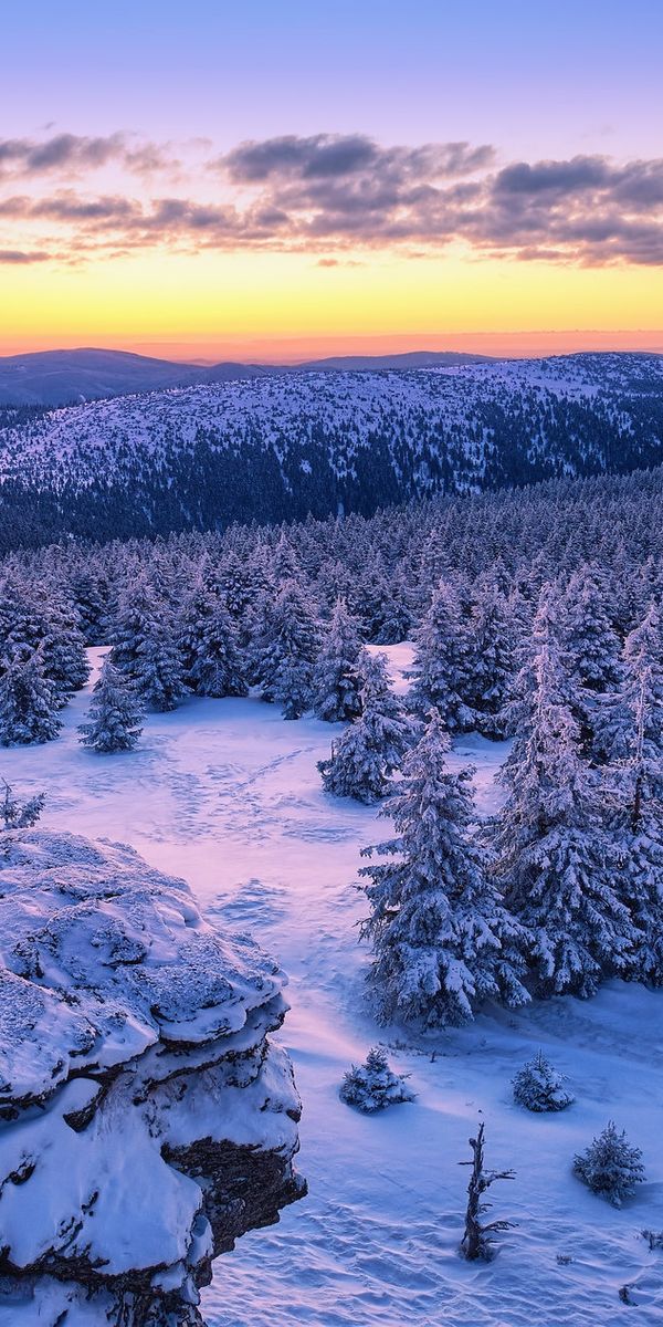 Phone wallpaper: Landscape, Winter, Sunset, Snow, Mountain, Forest, Earth, Czech Republic free downl