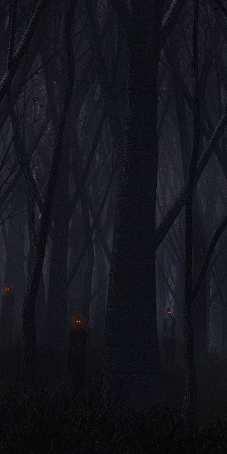 Phone wallpaper: Forest, Dark free download