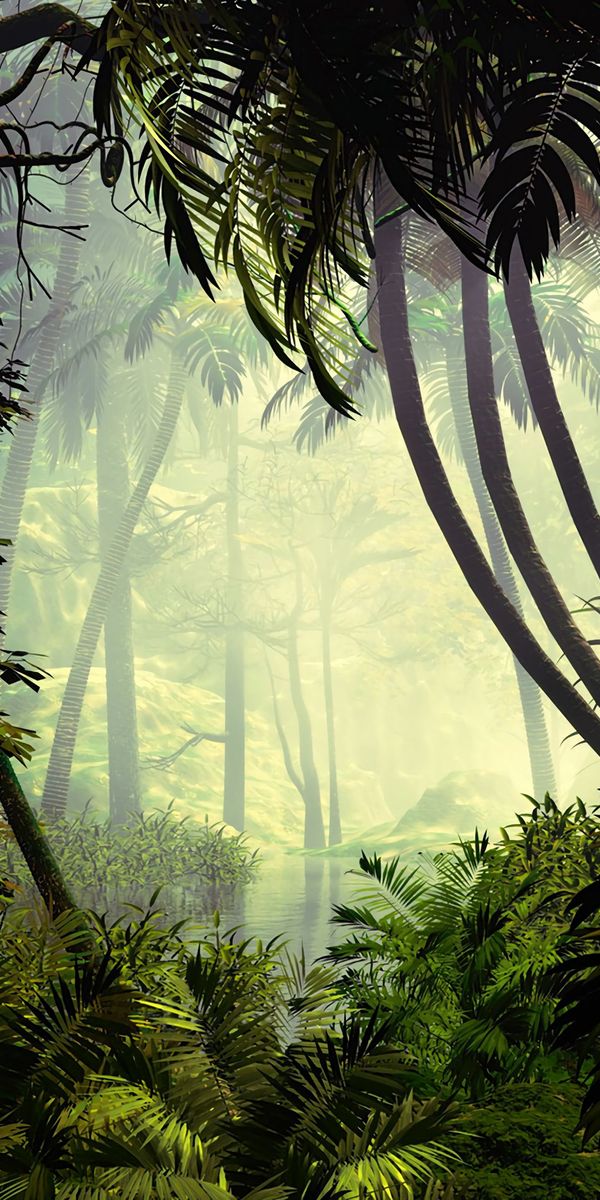 Lush Jungle Wallpaper with Trees and Fog for Your Mobile