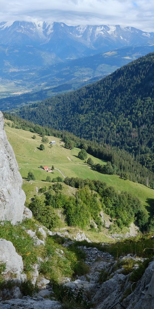 Explore Nature's Beauty: Free Mobile Wallpaper of Majestic Mountains and Greens