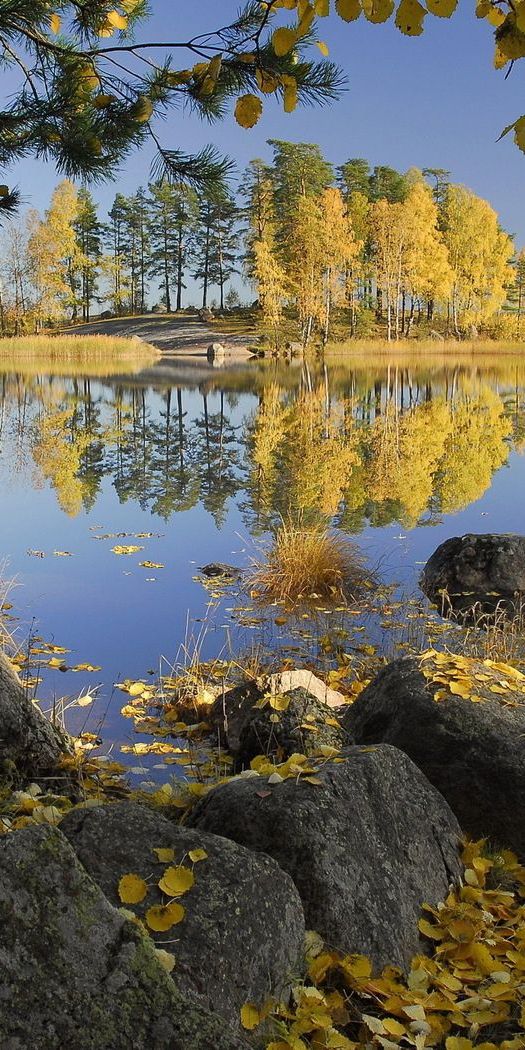 Phone wallpaper: Island, Birches, Trees, Shores, Islet, Shore, Autumn, Stones, Lake, Leaves, Nature