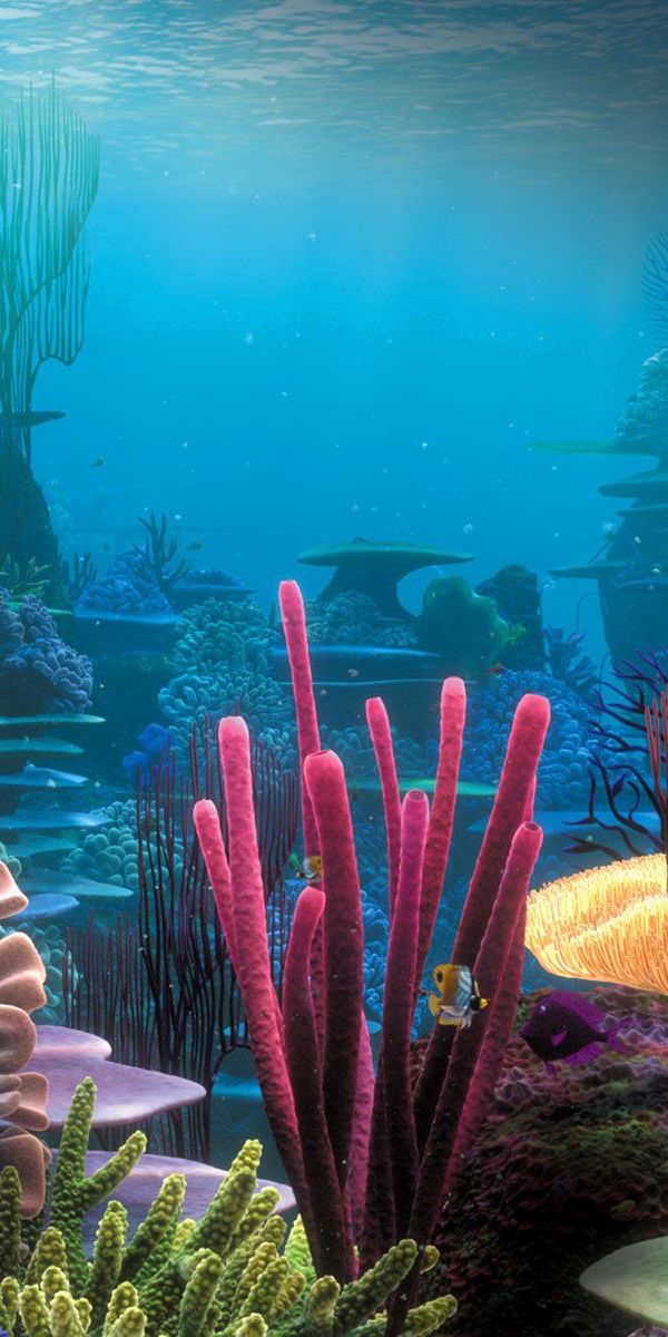 Explore a Colorful Underwater World: Coral Reef Phone Wallpaper