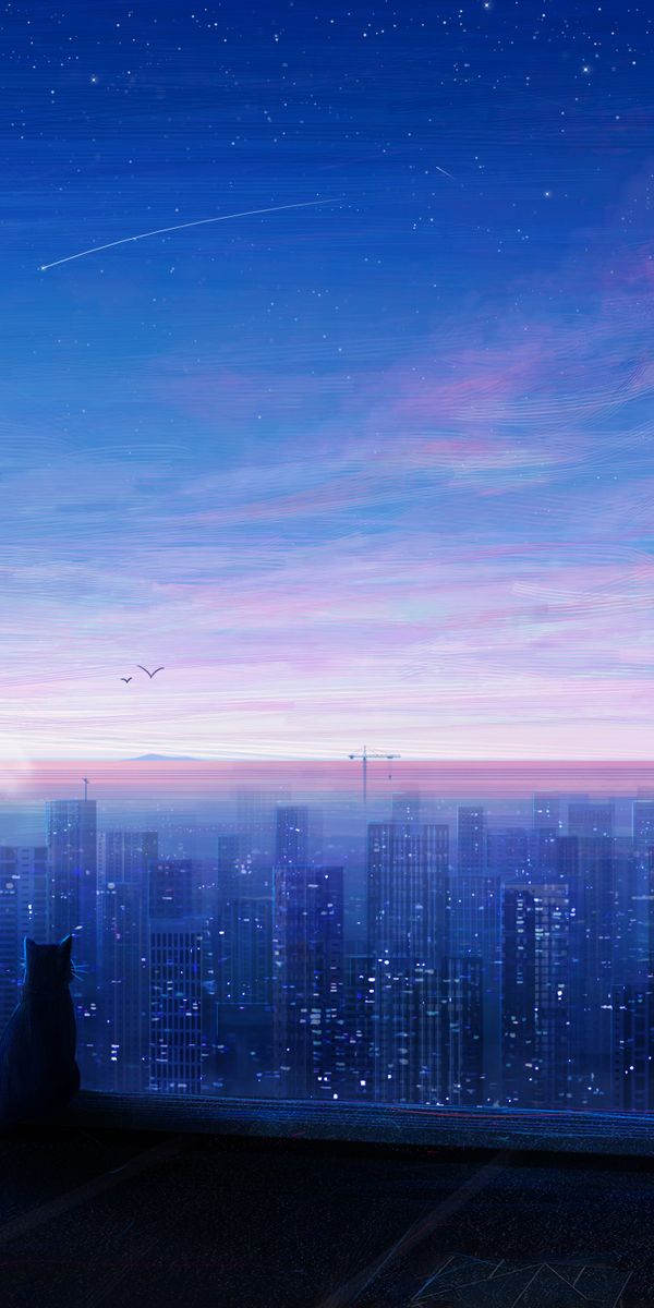 Anime Night Cityscape with Girl and Cat