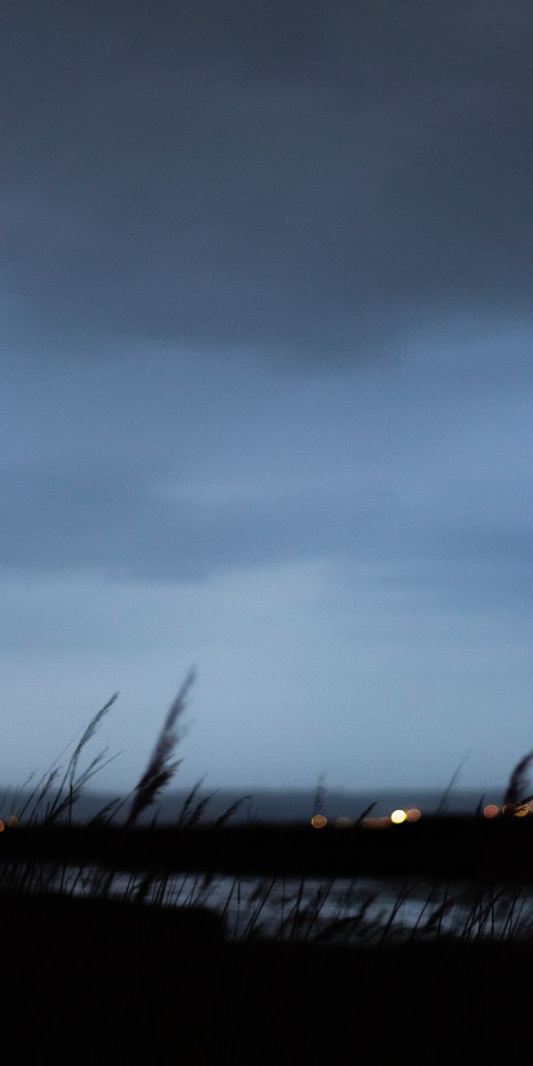 Twilight Landscape with Grass and Soft Bokeh Lights