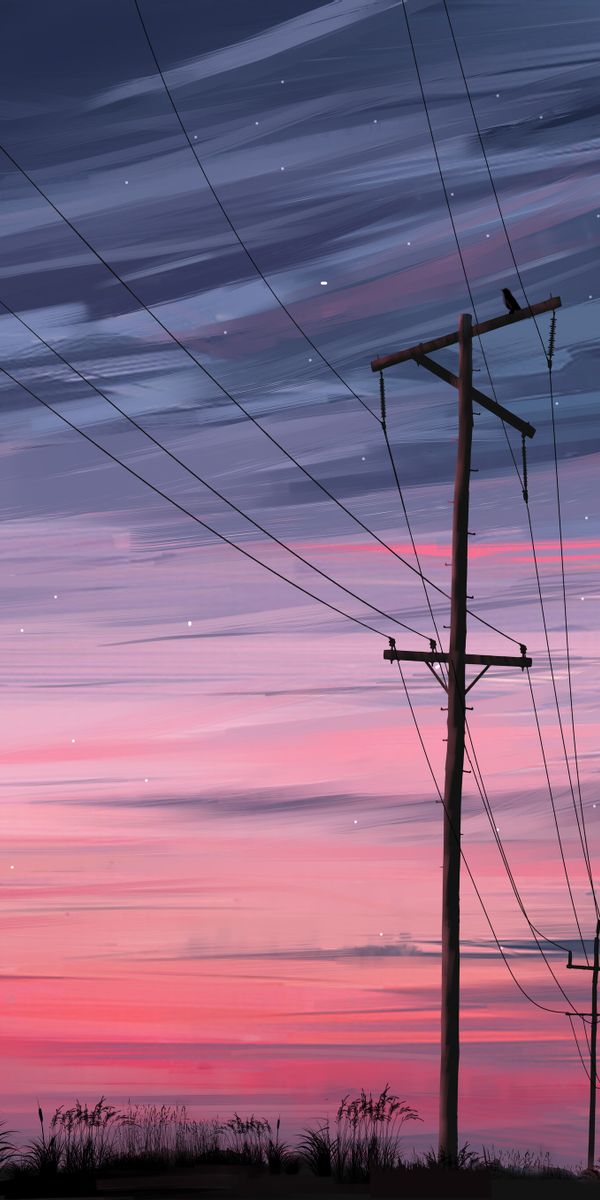 Captivating Night Landscape with Power Lines