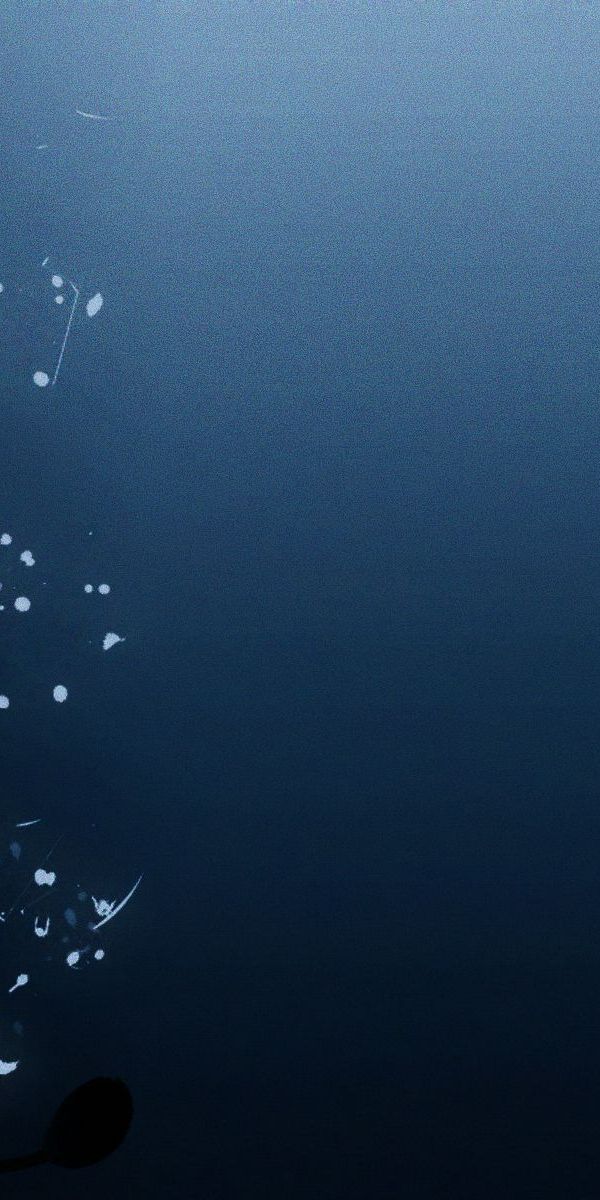 Cool Artistic Blue Flower Wallpaper for Your Phone