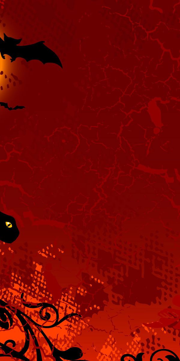 Phone wallpaper: Bat, Halloween, Cat, Holiday, Sunset free download