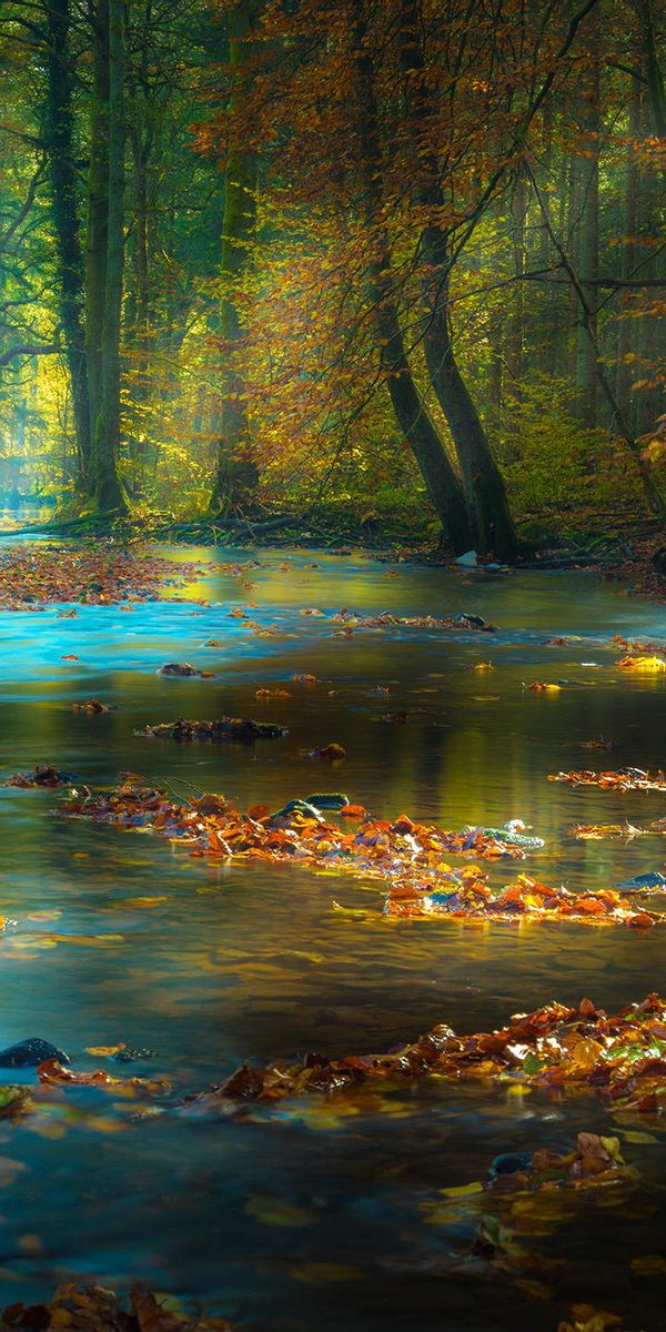 River Scene with Sunbeams in a Colorful Autumn Forest