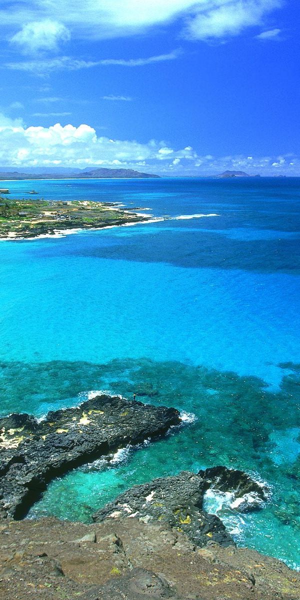 Vibrant Beach Landscape with Crystal Clear Waters