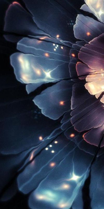 Beautiful floral phone wallpaper featuring intricate flower designs, free