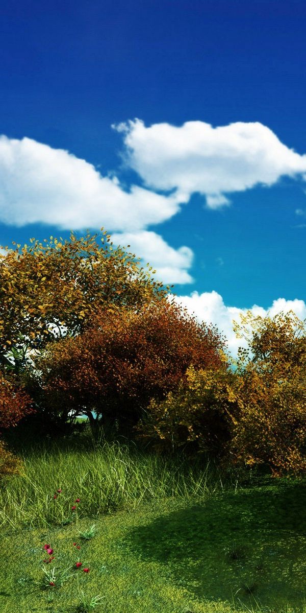 Phone wallpaper: Trees, Meadow, Field, Photography, Tree, Flower, Earth, Cloud, Sky, Landscape free