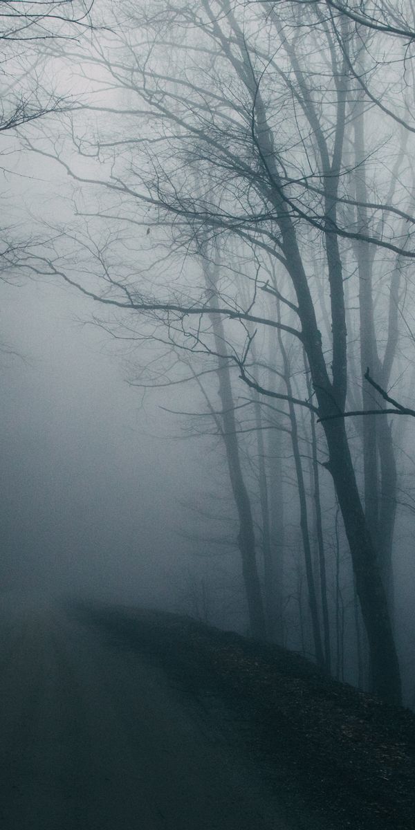 Mysterious Foggy Road Wallpaper: Embrace Nature's Gloomy Beauty