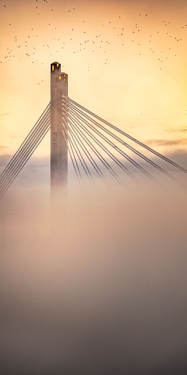 Phone wallpaper: Clouds, Miscellaneous, Miscellanea, Bridge, Dusk, Twilight, Sunset, Birds free down