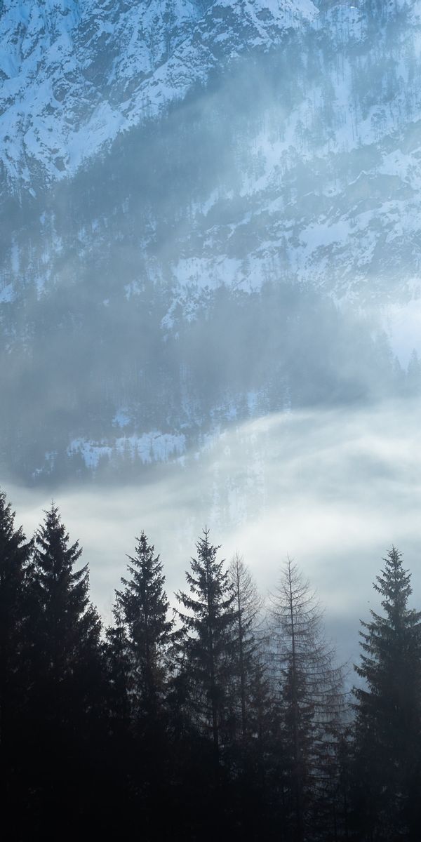 Majestic Mountain Landscape with Snow and Fog