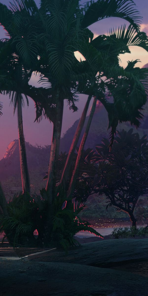 Breathtaking Sunset Beach Scene with Lush Palms