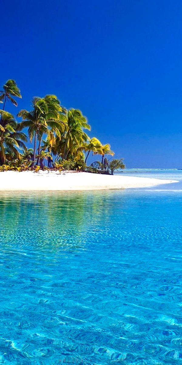 Tropical Island Paradise - Summer Beach and Clear Blue Sea