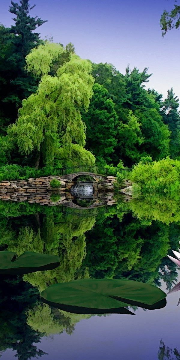 Phone wallpaper: Bridge, Flowers, Tree, Flower, Earth free download