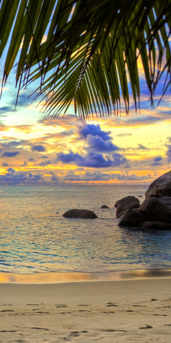 Phone wallpaper: Nature, Sunset, Sky, Sea, Beach, Sand, Horizon, Ocean, Earth, Tropical, Palm Tree f