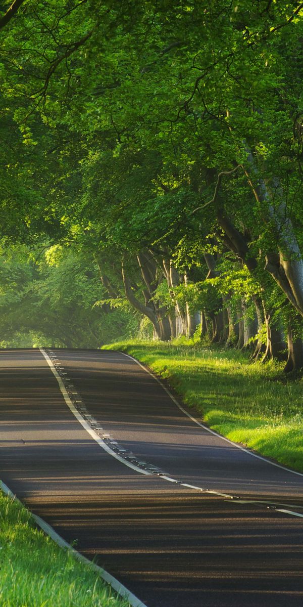 Phone wallpaper: Roads, Landscape, Trees free download