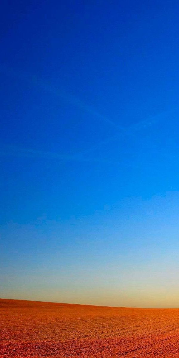 Serene phone wallpaper featuring a solitary tree on a vast horizon