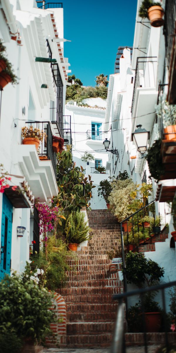 4k Lane with White Buildings and Colorful Plants