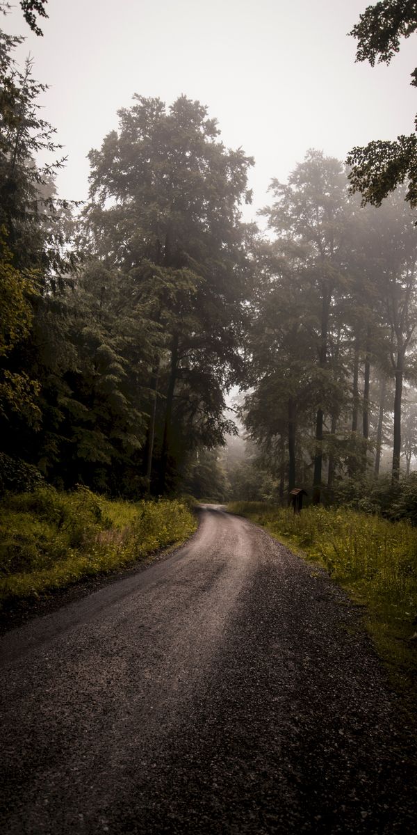 Phone wallpaper: Trees, Grass, Forest, Fog, Turn, Road, Nature free download