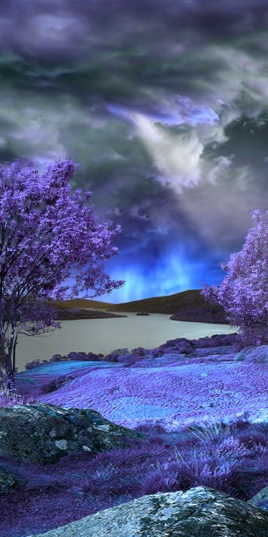 Dreamy Lavender Landscape with Trees and Dramatic Clouds
