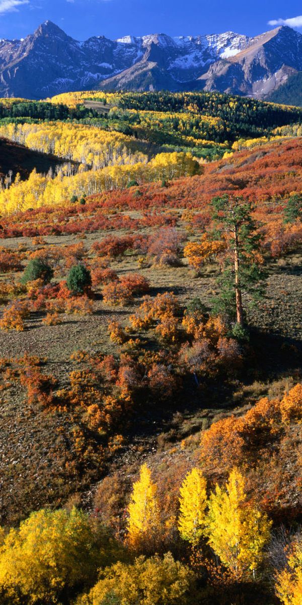 Phone wallpaper: Mountains, Mountain, Fall, Earth free download