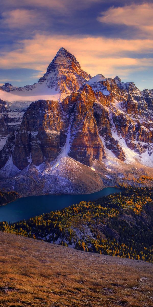 Landscape, Mountains, Mountain, Lake, Canada, Forest, Earth, Panorama, Mount Assini