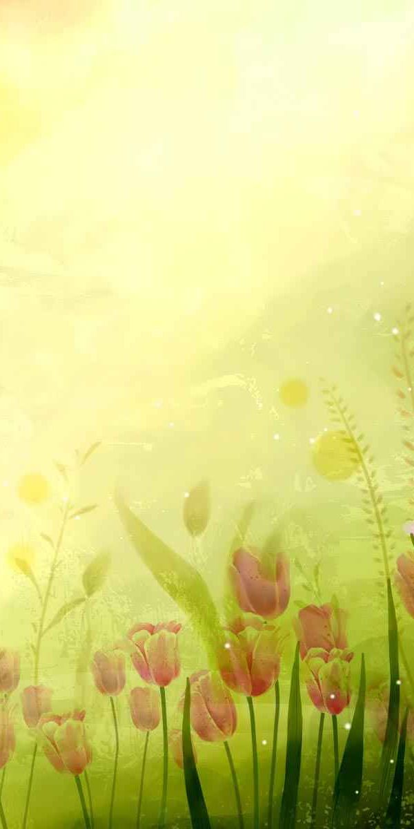 Phone wallpaper: Sujash, Flowers, Flower, Artistic free download