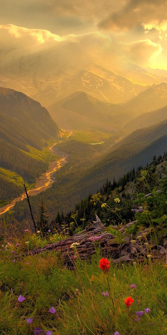 Breathtaking Sunrise Over Mountain Landscape with Colorful Wildflowers