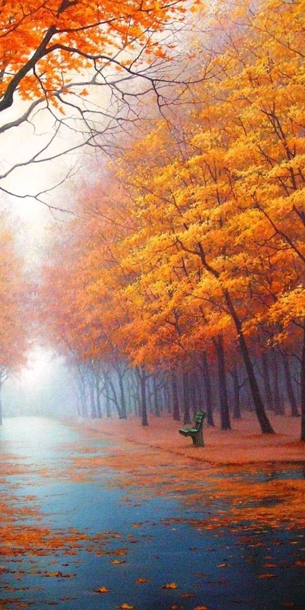 Beautiful Autumn Landscape with Trees and Streets