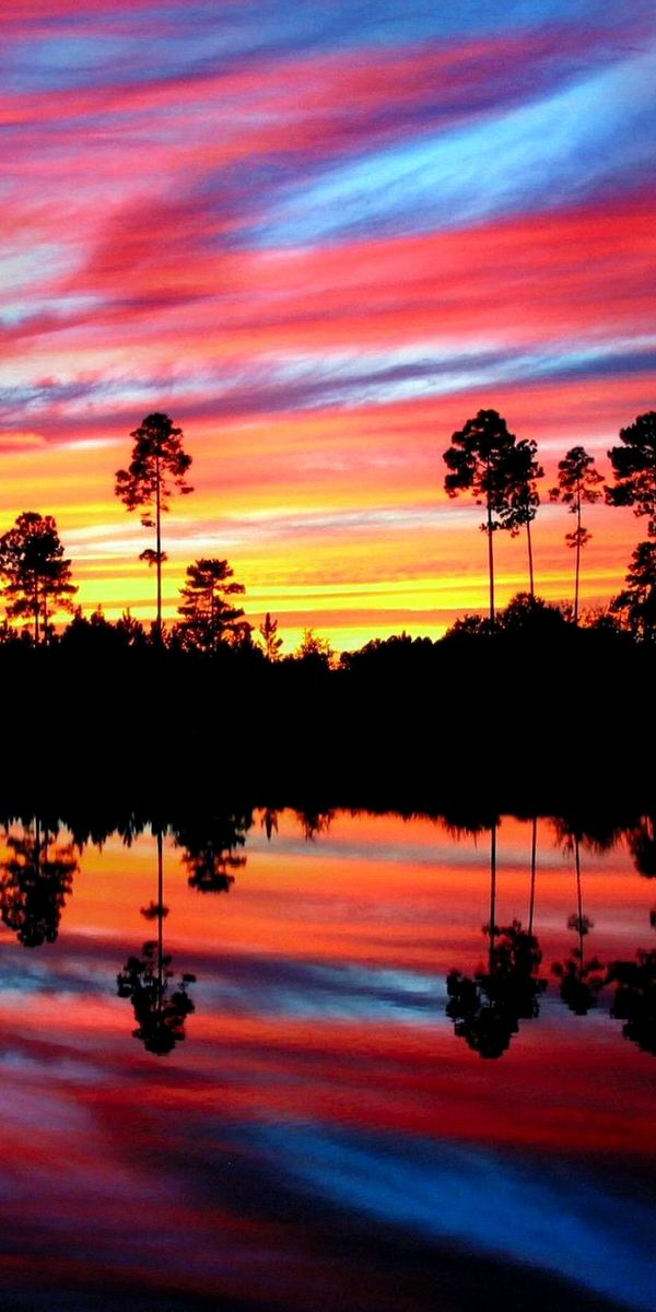 Colorful iPhone Wallpaper Featuring a Sunset Reflection Over Earthy Trees