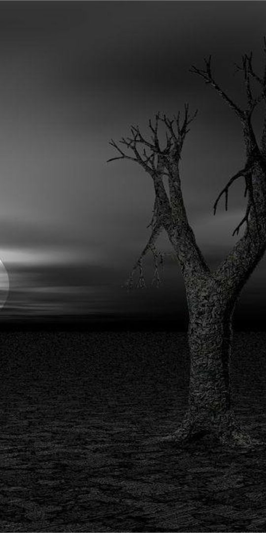 Eerie Dark Landscape with a Striking Tree Silhouette