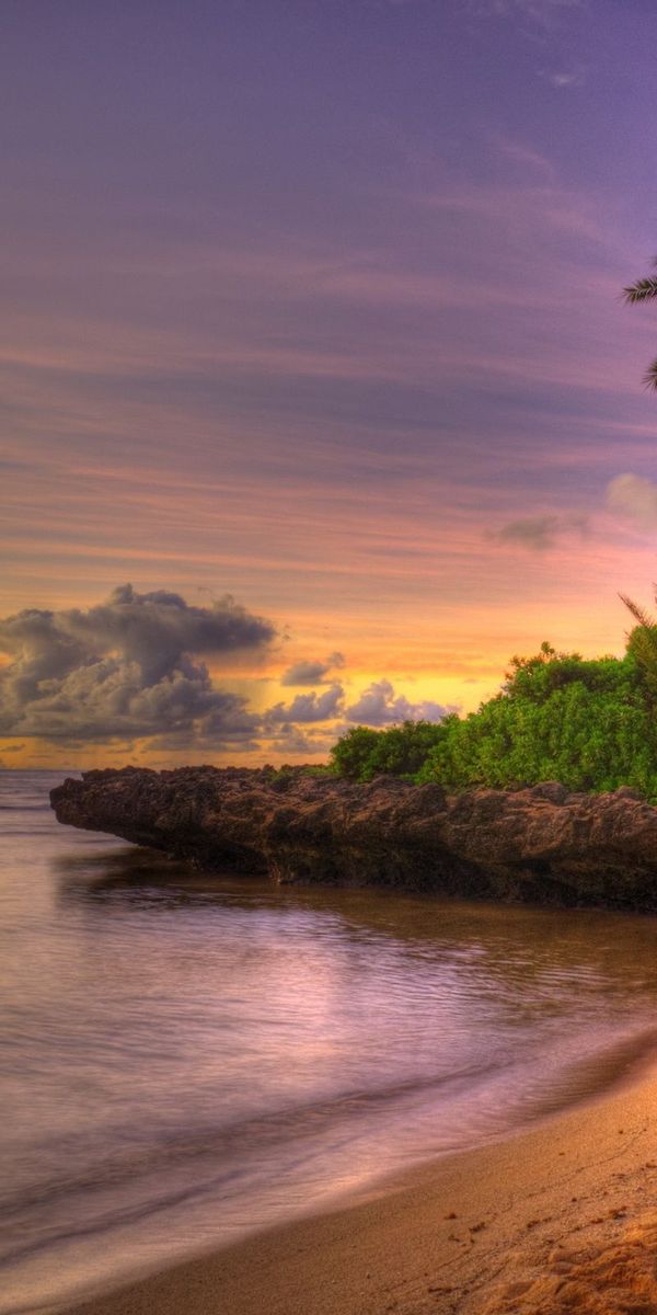 Phone wallpaper: Friable, Shore, Bank, Loose, Clouds, Horizon, Nature, Sky, Sand, Sunset, Palms, Tro