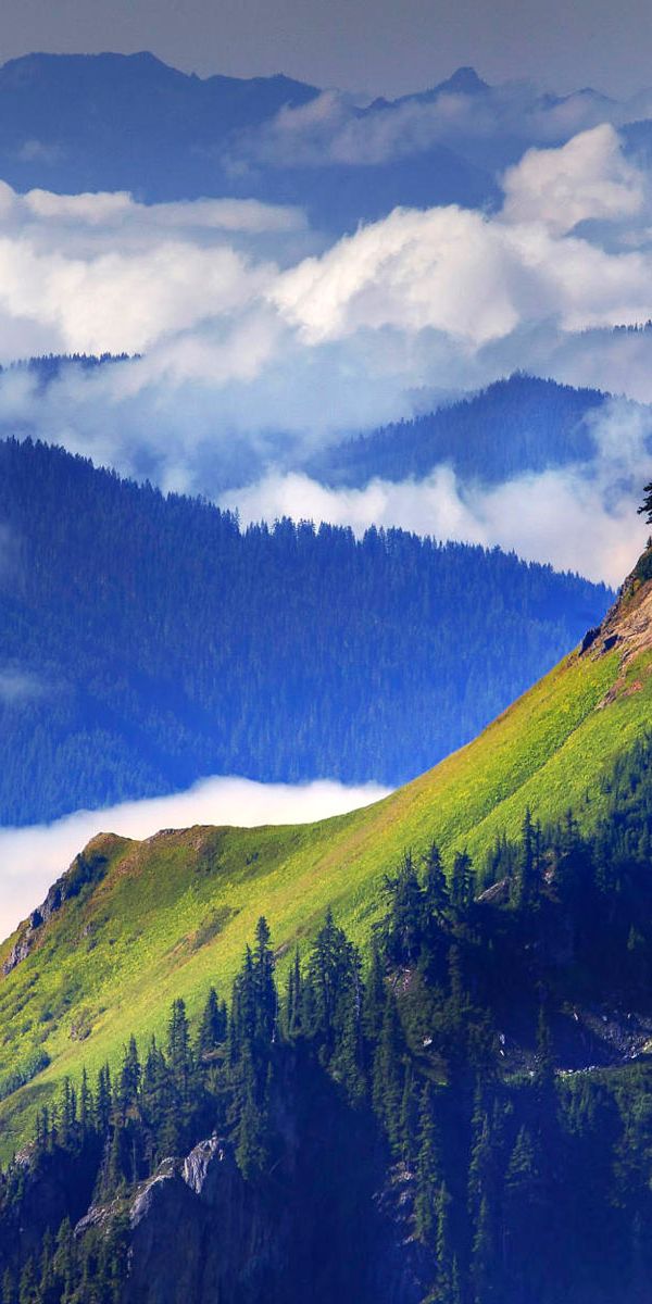 Phone wallpaper: Scenic, Mountains, Fog, Forest, Mountain, Earth, Cloud, Landscape free download