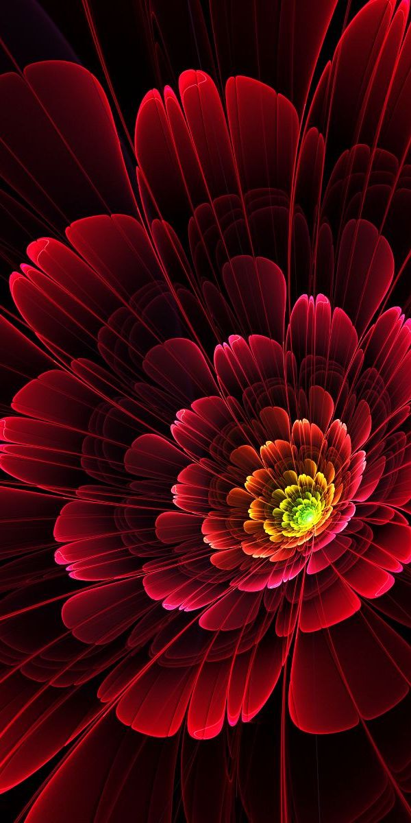 Captivating Red Flower Wallpaper: Perfect 4K Phone Background