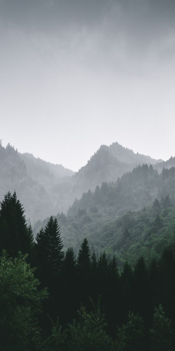 Foggy Mountain Landscape - Perfect for Mobile Wallpaper
