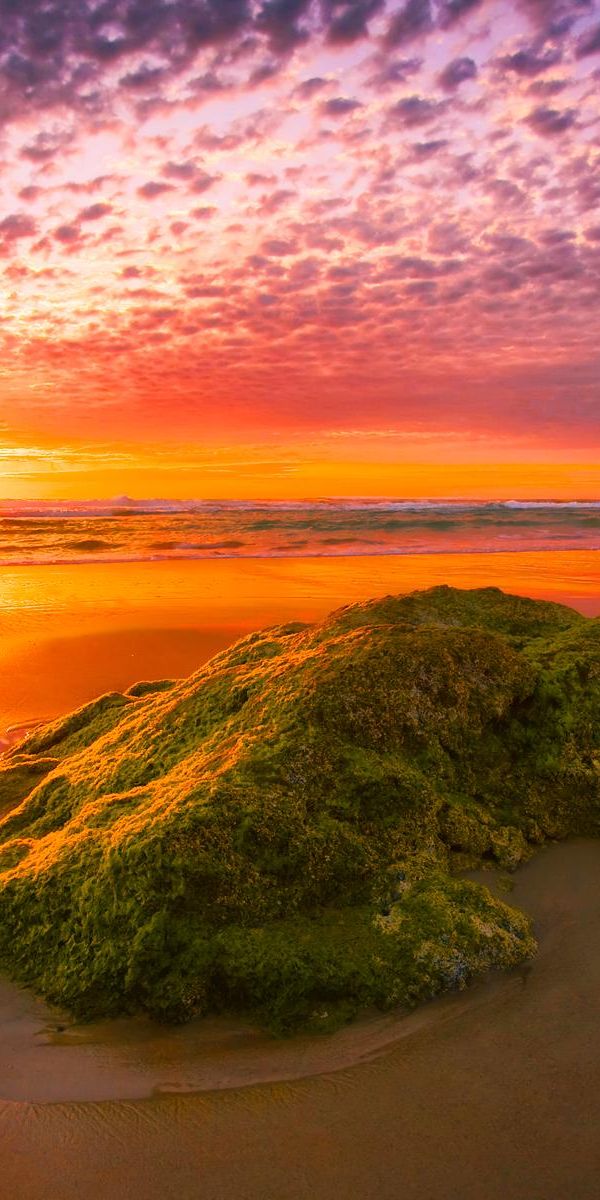 Phone wallpaper: Sunset, Sky, Beach, Sand, Gold, Horizon, Ocean, Earth, Purple, Orange (Color) free
