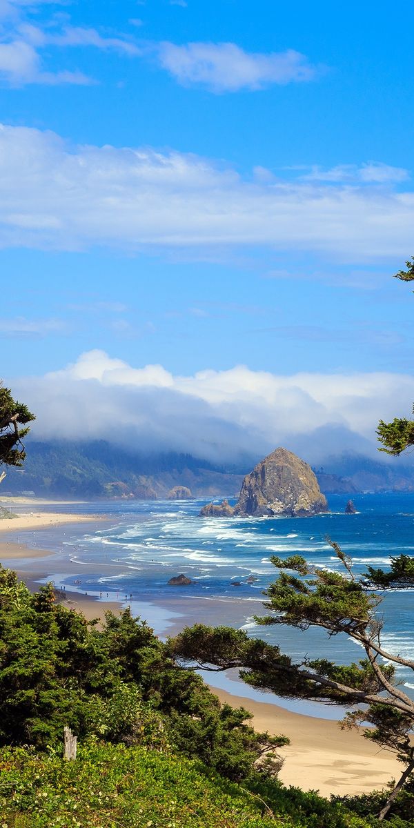 Phone wallpaper: Beach, Coast, Tree, Ocean, Earth, Coastline free download
