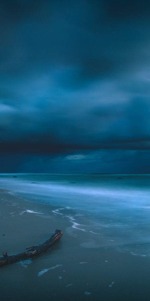 Phone wallpaper: Sunset, Sky, Sea, Beach, Horizon, Ocean, Earth, Cloud, Driftwood free download