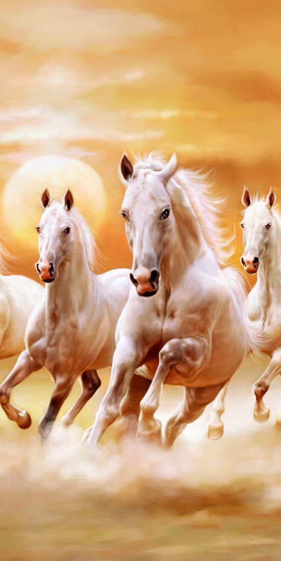 Majestic White Horses Galloping into the Sunset