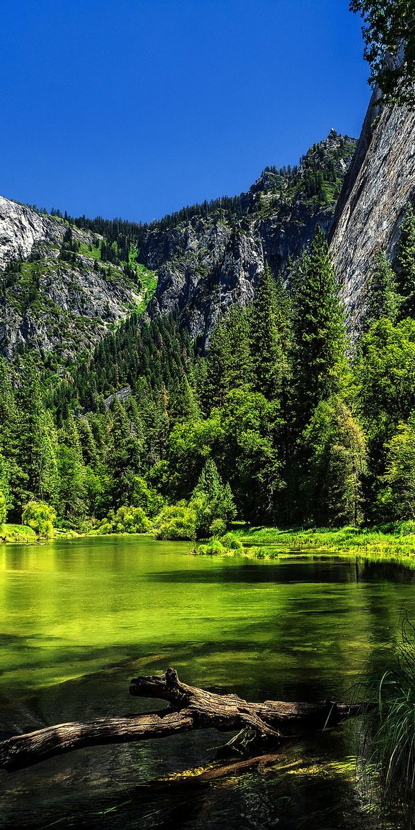 High-Quality Phone Wallpaper of Yosemite National Park's Serene Landscape