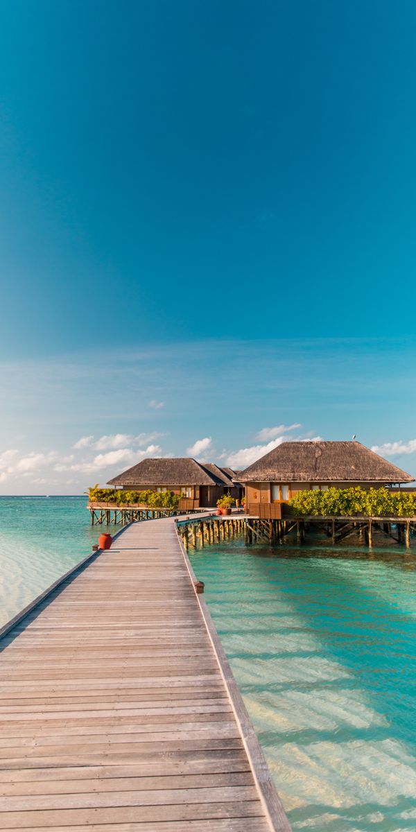 Phone wallpaper: Tropics, Pier, Bungalow, Nature, Summer, Sea free download