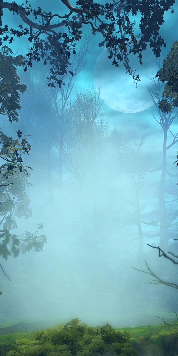 Phone wallpaper: Fog, Forest, Branches, Trees, Art, Nature free download