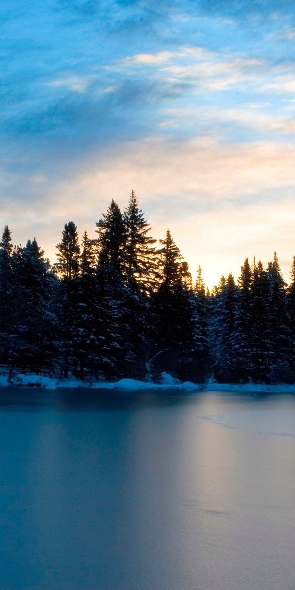 Phone wallpaper: Trees, Winter, Sky, Landscape, Water free download