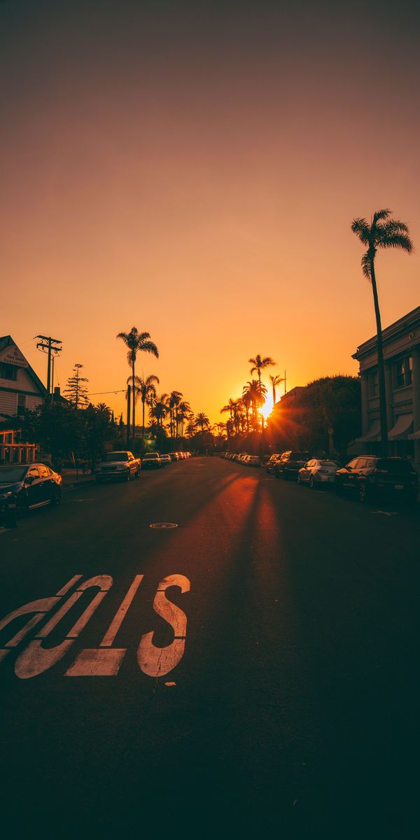 Breathtaking Sunset on a Palm-Lined Street