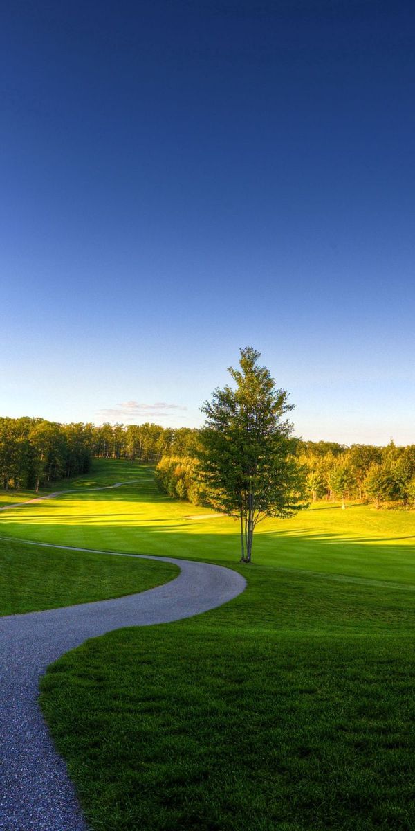 Beautiful Summer Landscape with a Winding Path Through Lush Greens